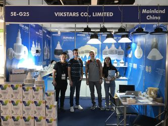 Vikstars Co., Limited línea de producción del fabricante